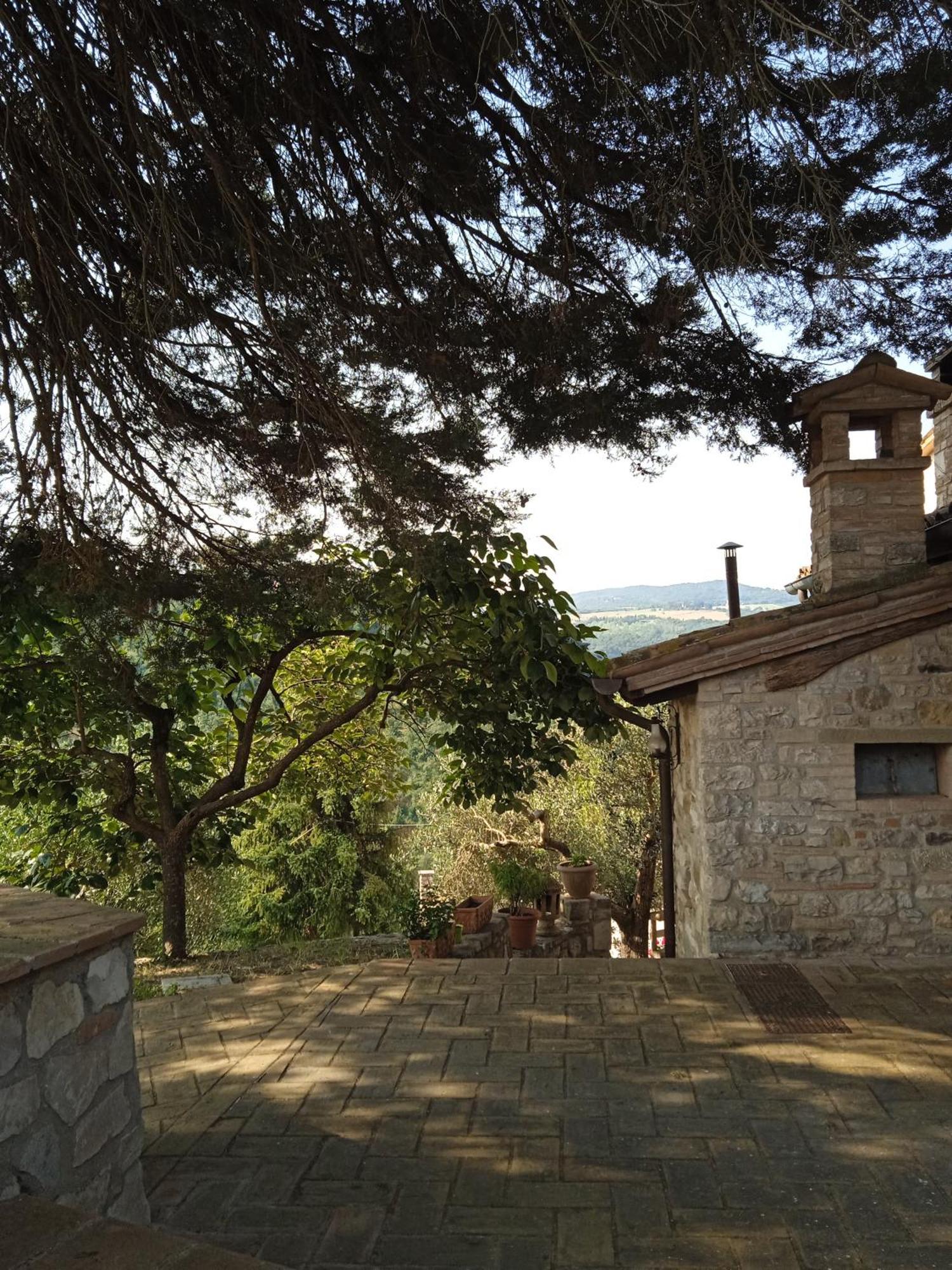 Olea Holiday home *