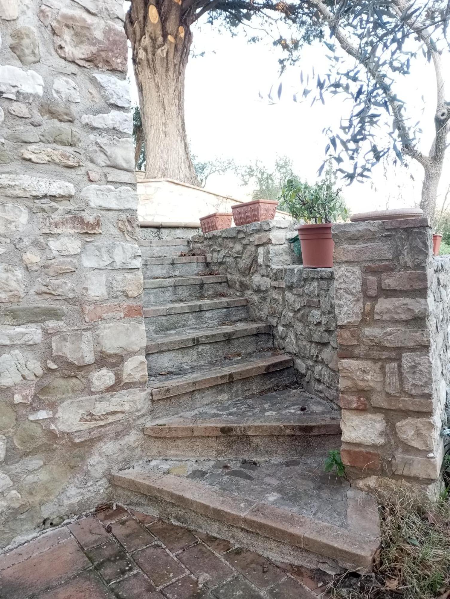 Holiday home Olea