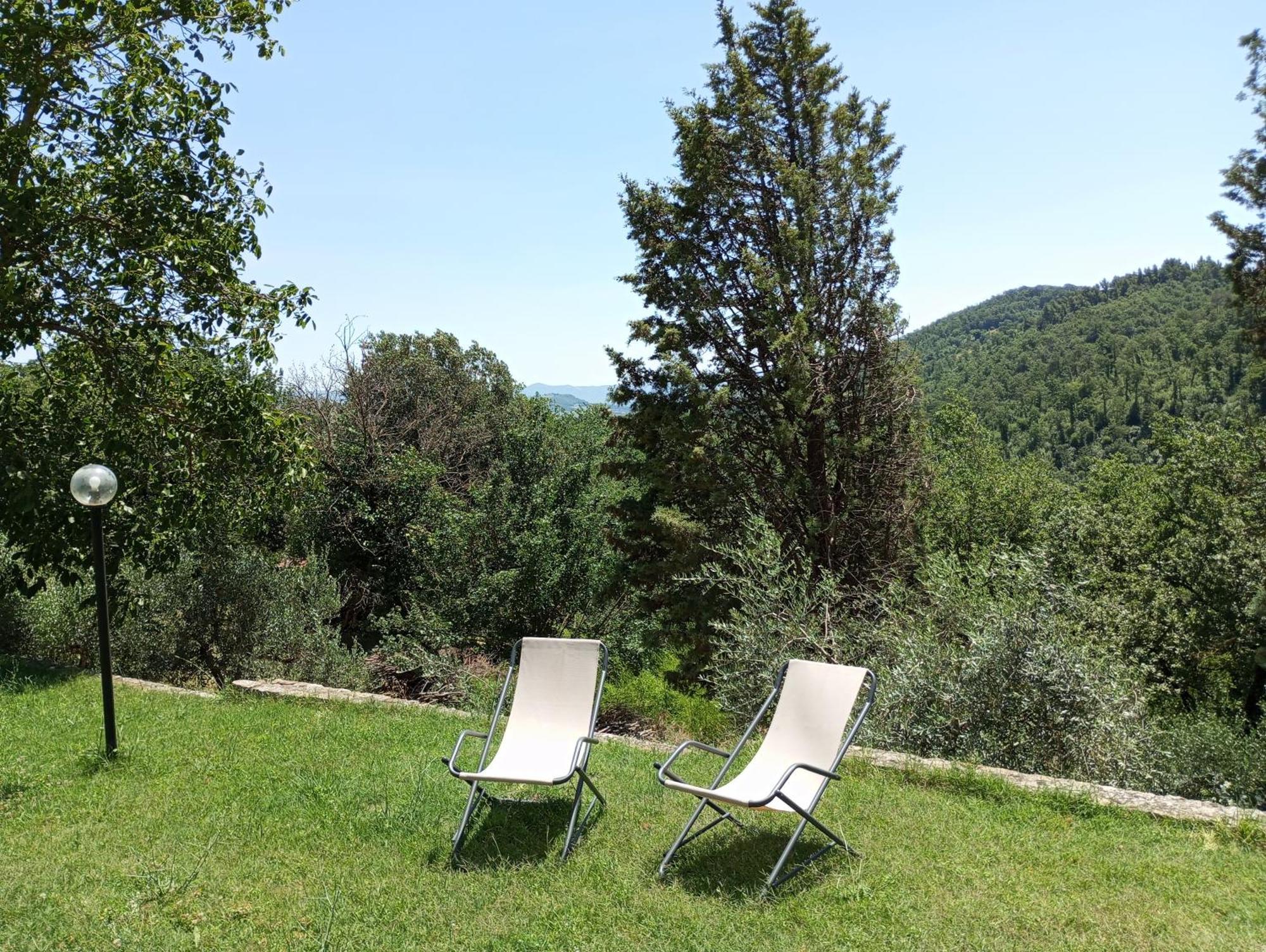 Olea Holiday home